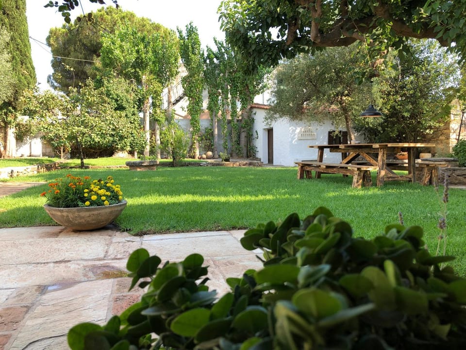 Natural landscape, Garden