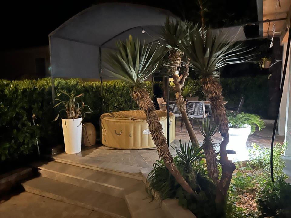 Night, Garden, Garden view