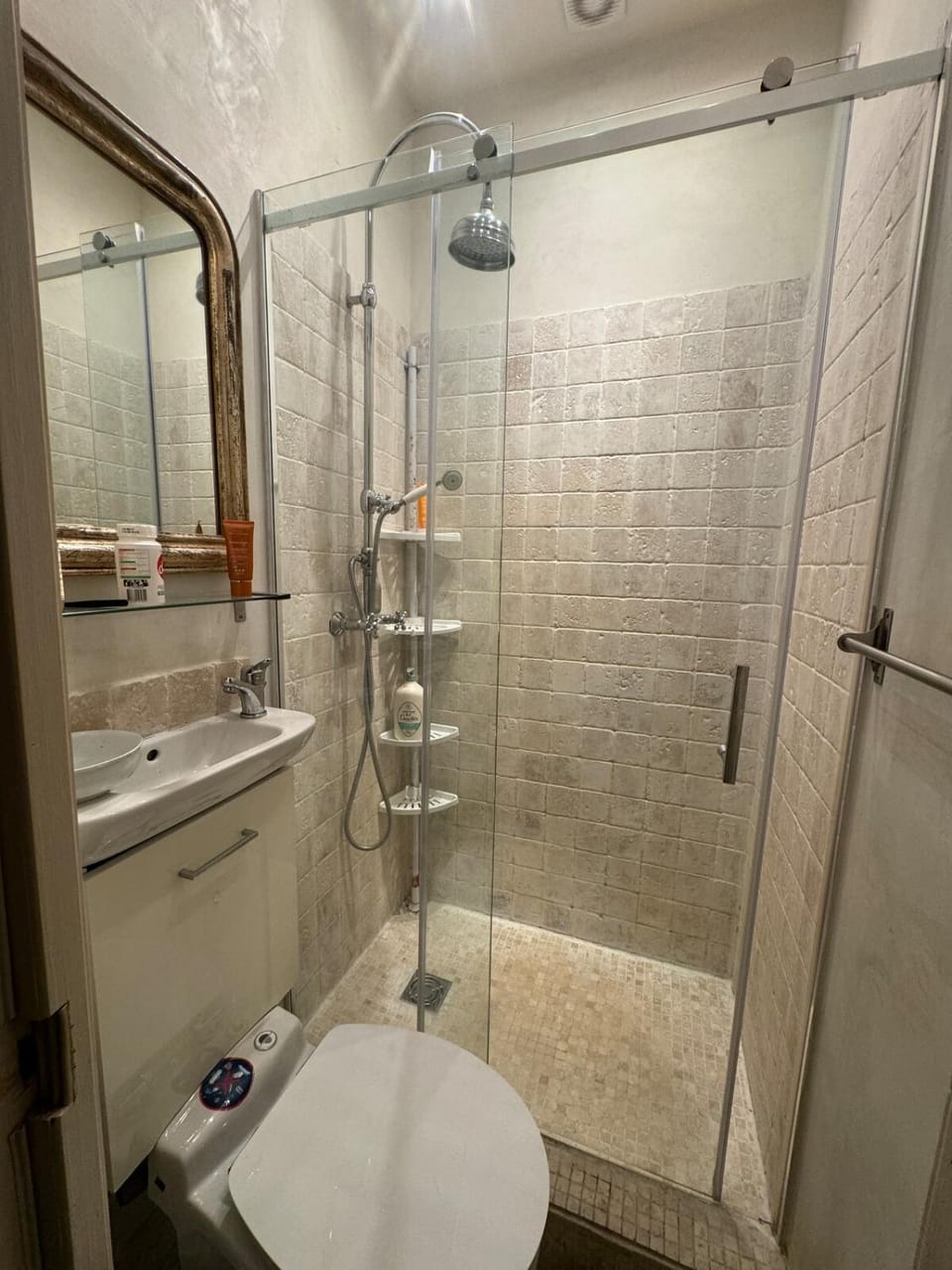 Arlesian house overlooking the arenas Villa in Arles