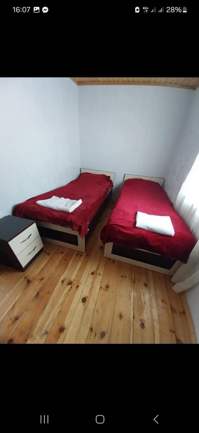 Guesthouse Irma Apartment in Georgia
