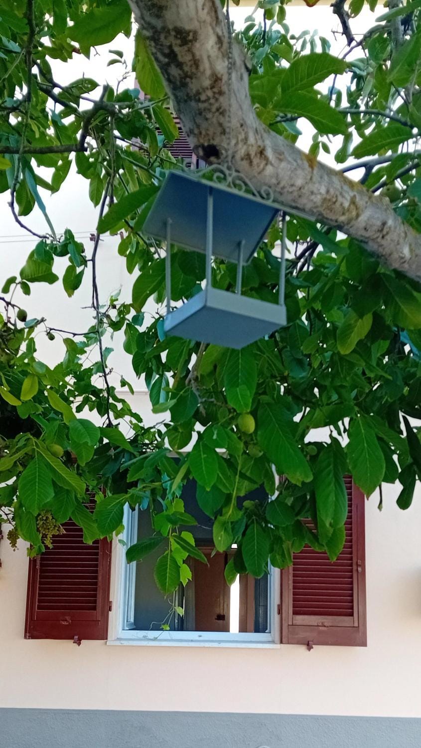 Appartamento Venturina Terme Apartment in Venturina Terme