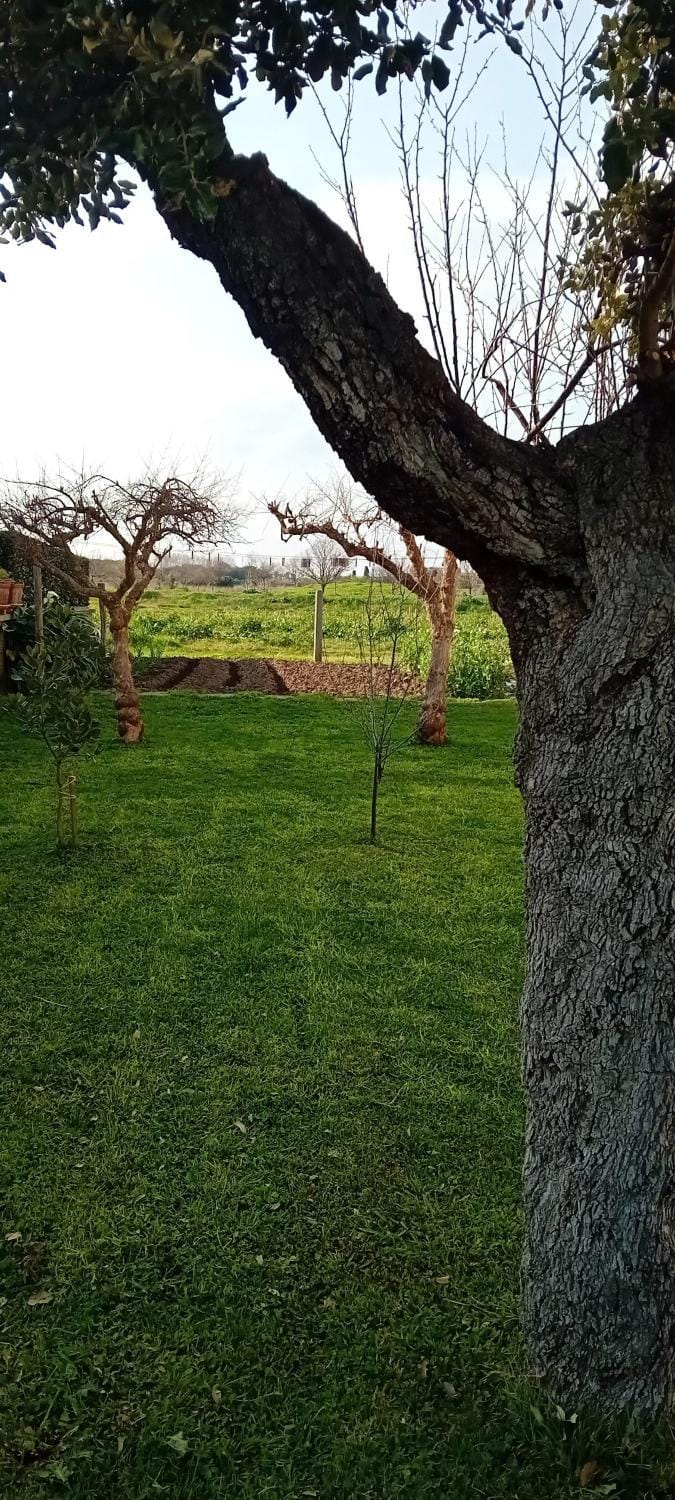 Appartamento Venturina Terme Apartment in Venturina Terme