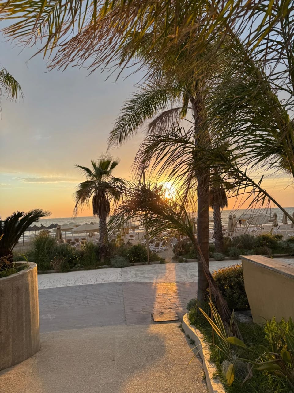 Sunset