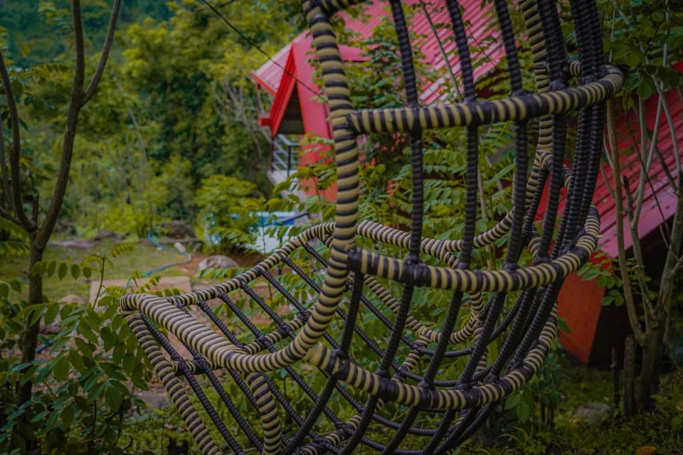 Natural landscape, Garden, Garden view