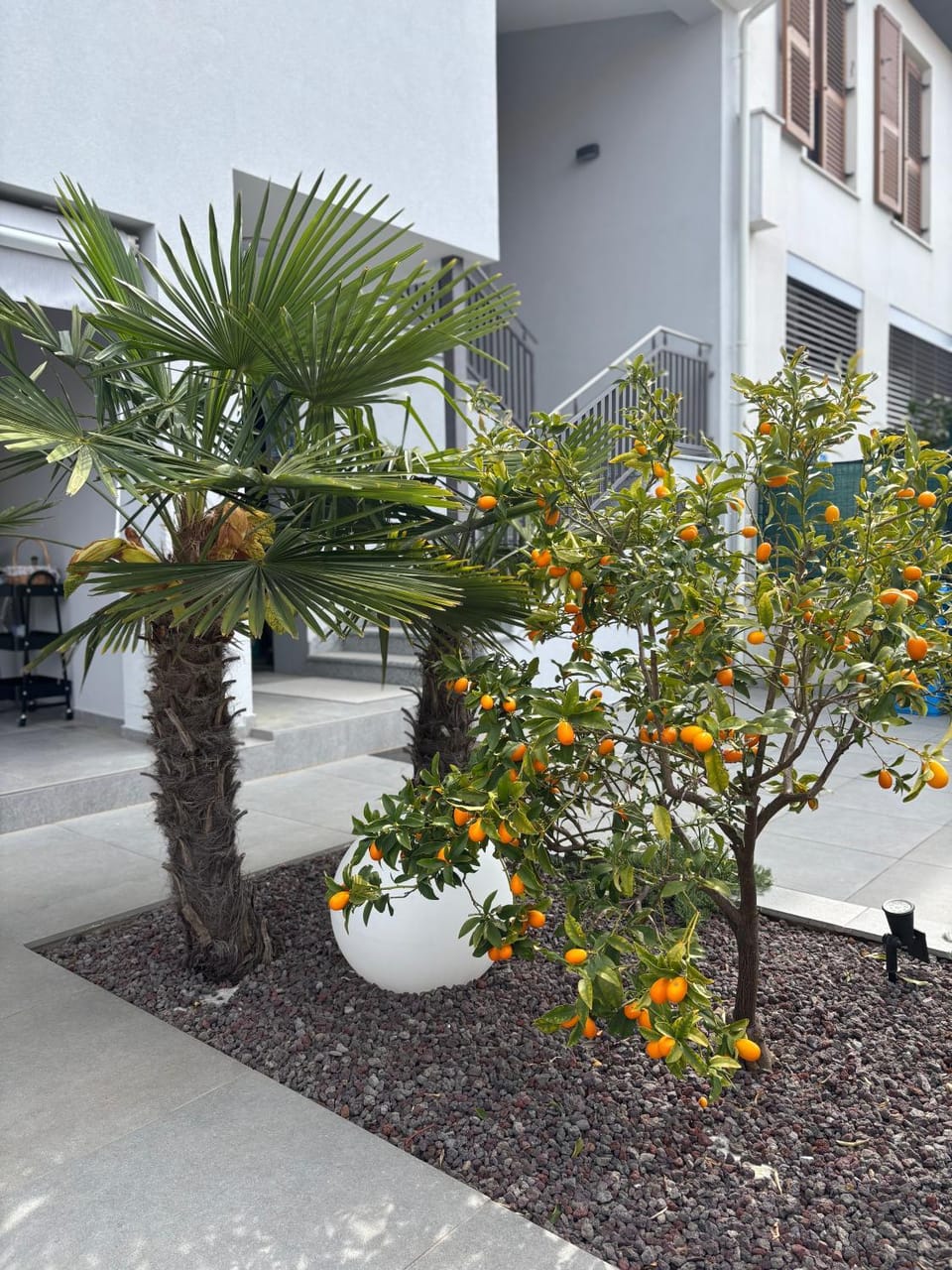 Apartment deluxe Apartment in Fažana