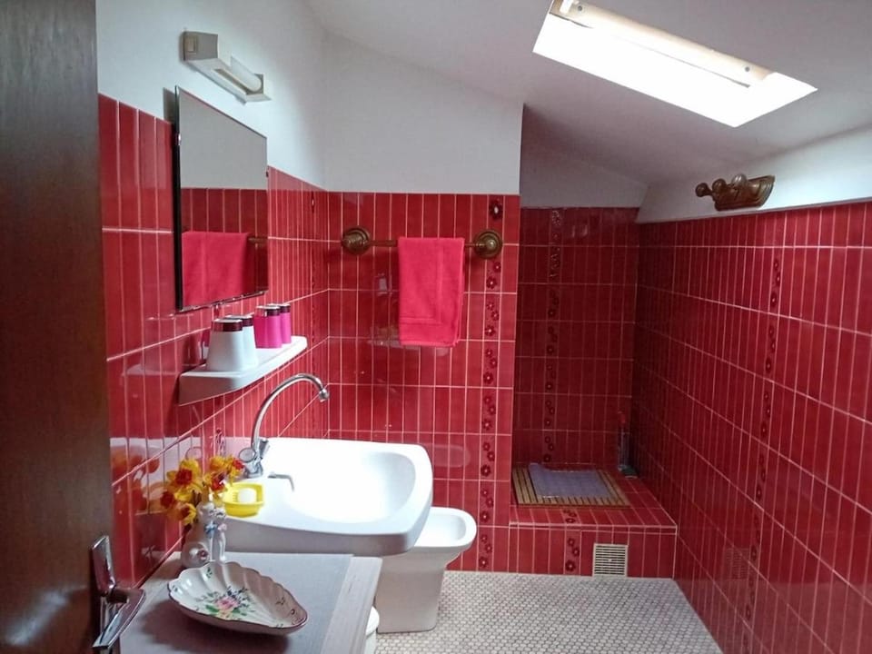 Gîte Saint-Jean-pied-de-Port Chez PASCALINE Apartment in French Basque Country
