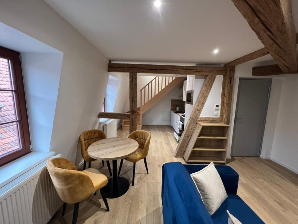 Le Douplex - Centre ville - Wifi - Netflix Apartment in Sélestat