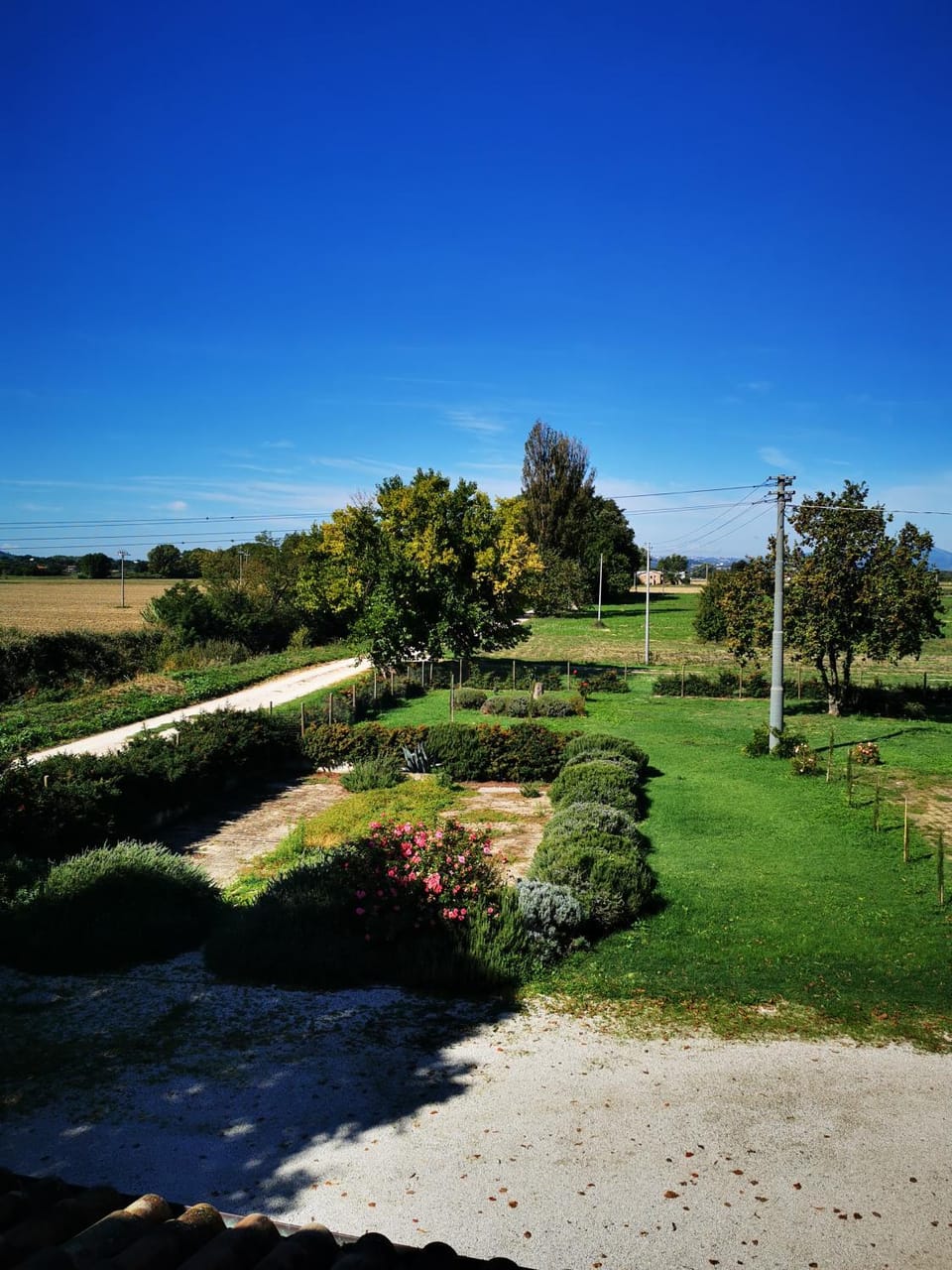 View (from property/room), Garden view, River view