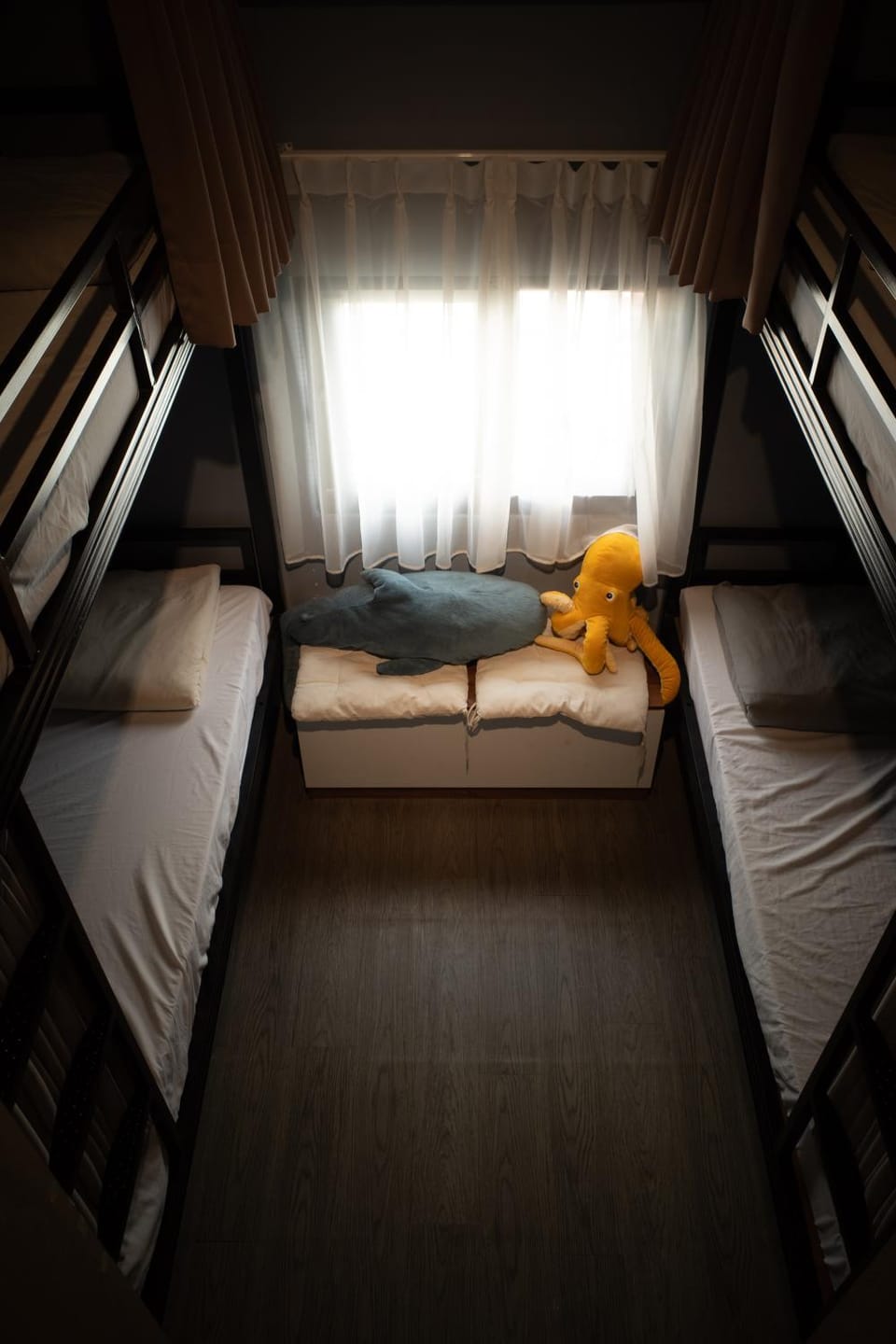 Bed, Photo of the whole room, Bedroom, bunk bed