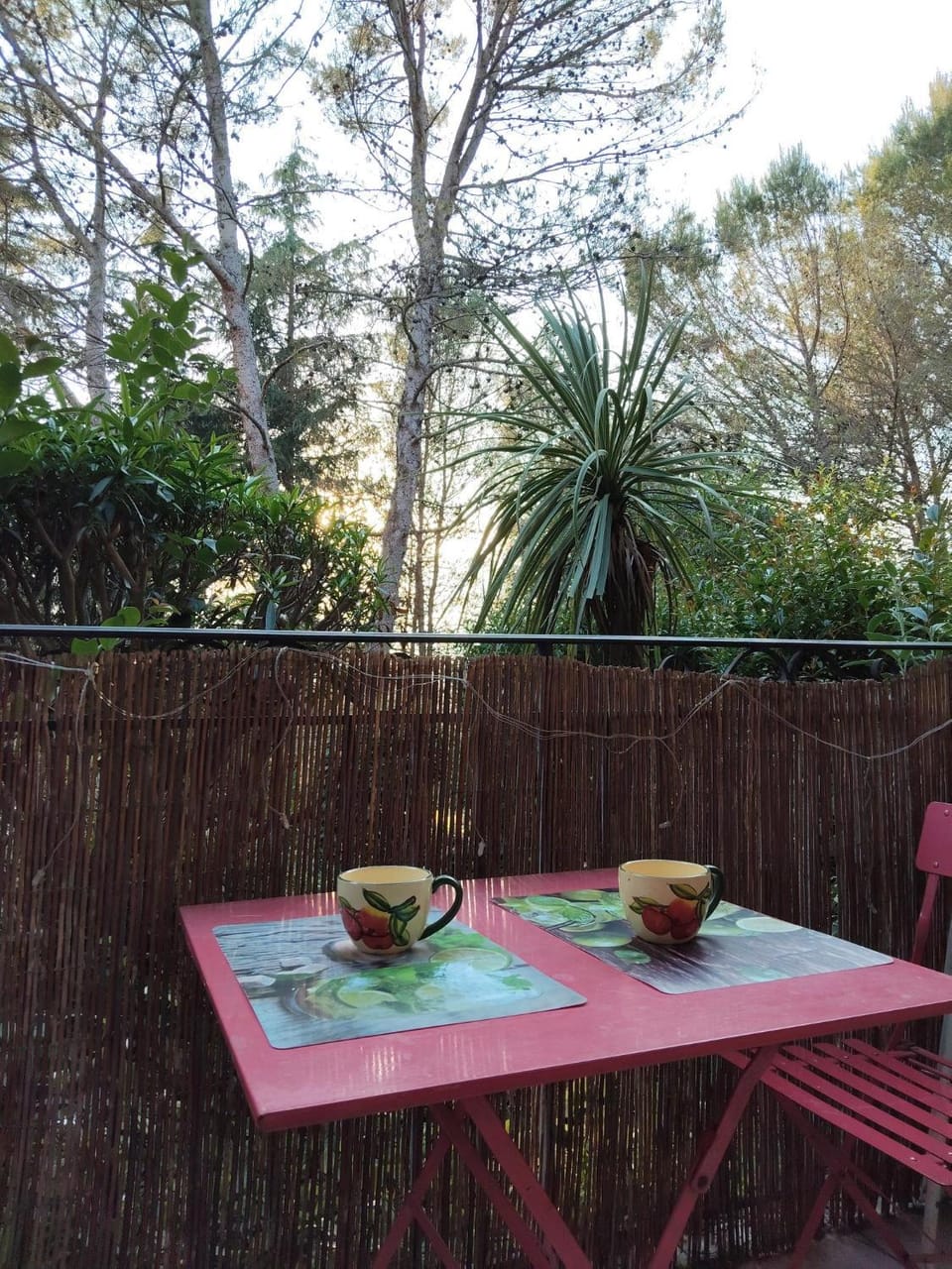 Balcony/Terrace