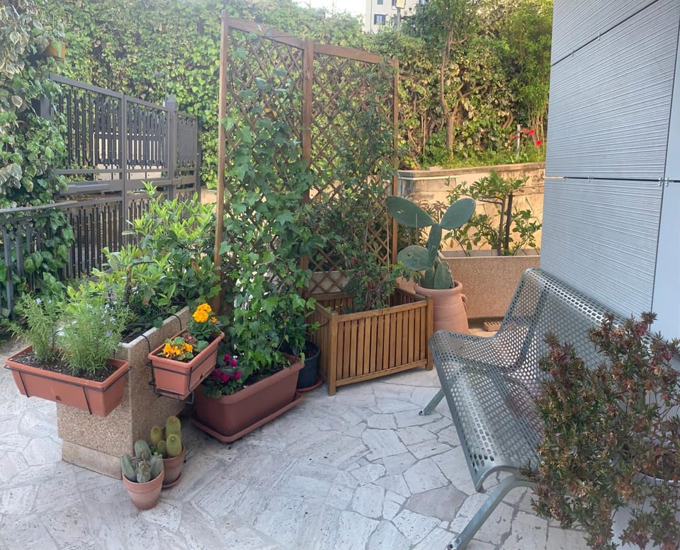 Balcony/Terrace