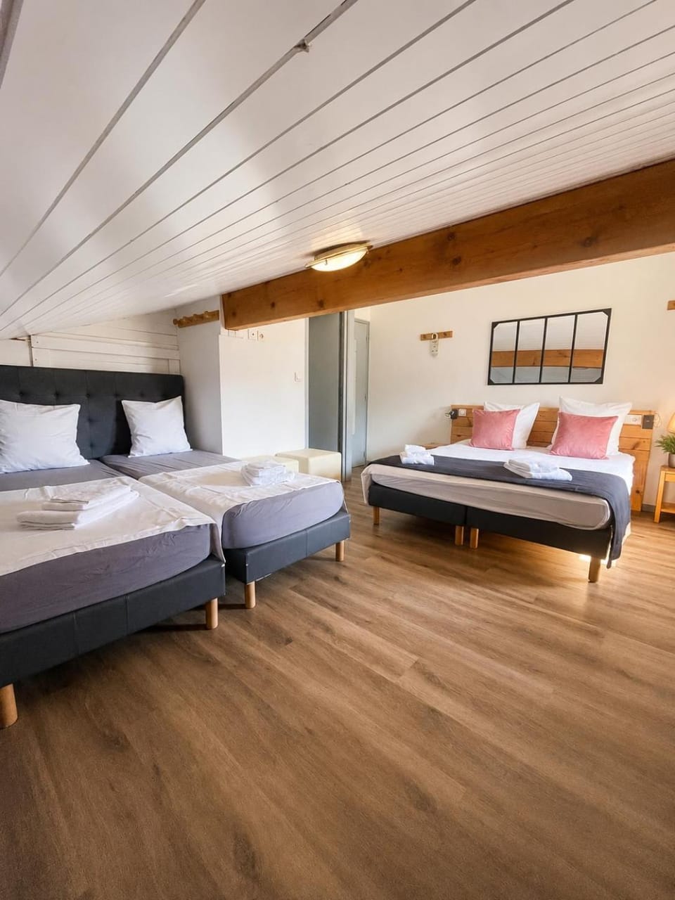 Chalet Hotel Alpaka Hotel in Châtel