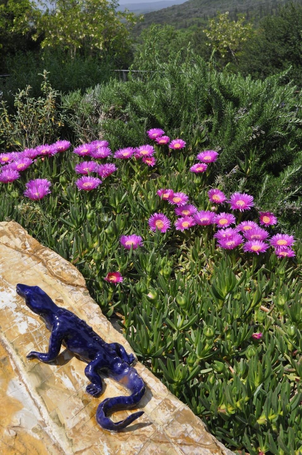 Natural landscape, Garden
