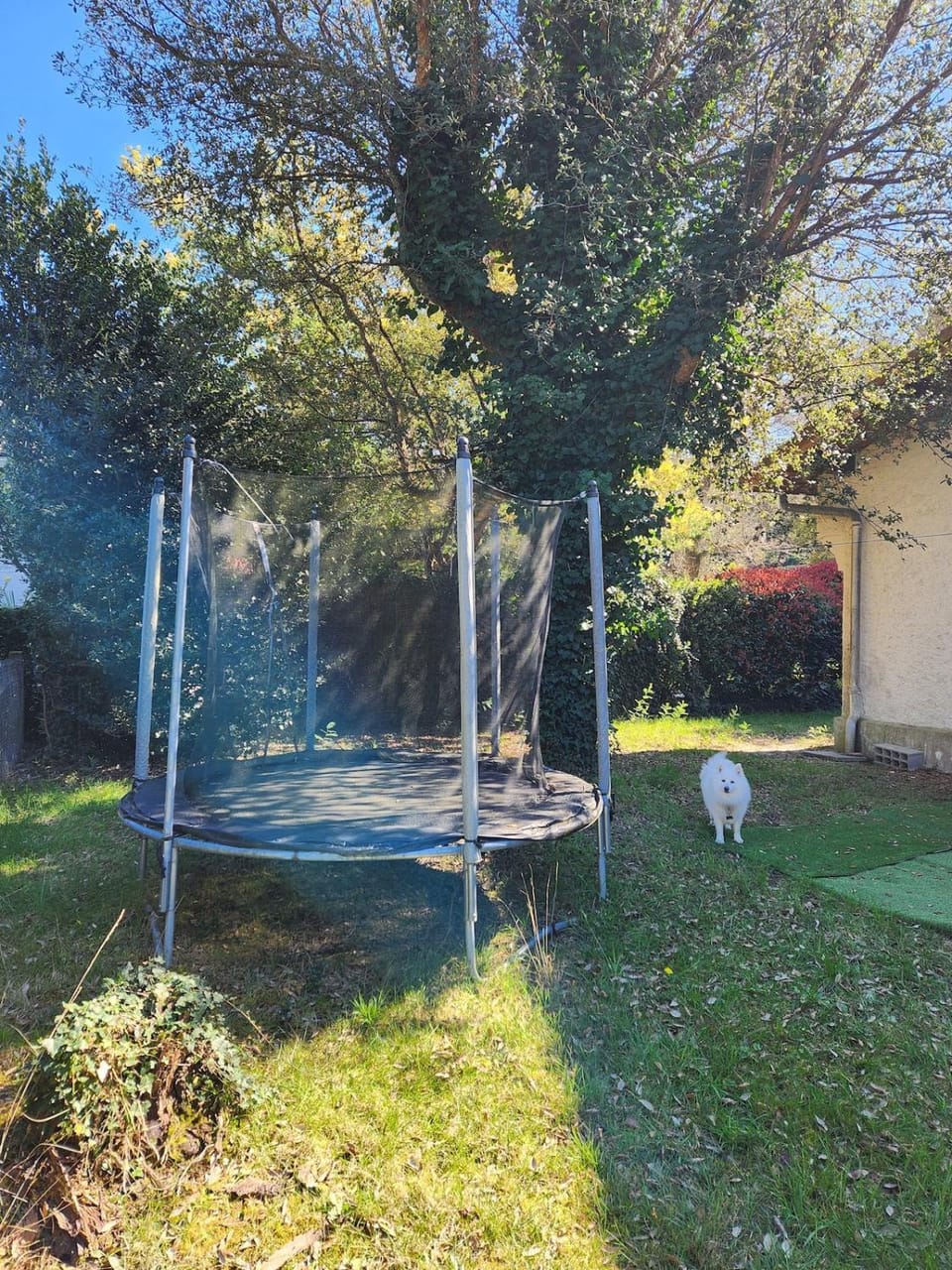 Hossegor, Maison Familiale Intergénérationnelle , Quartier Calme et Résidentiel House in Hossegor