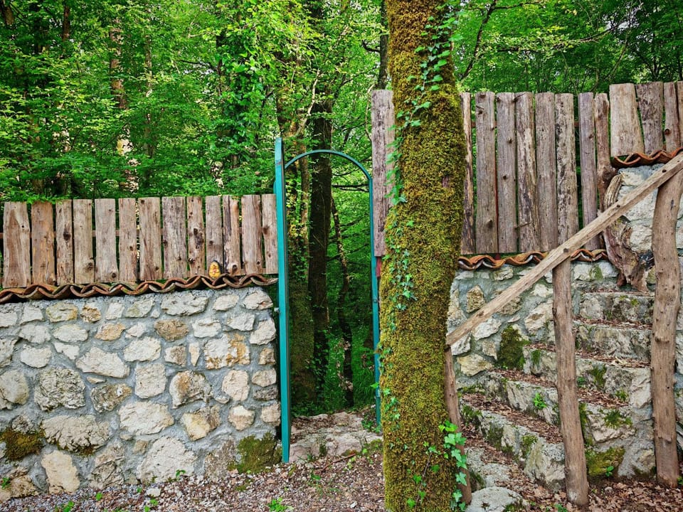 Spring, Day, Natural landscape, Garden