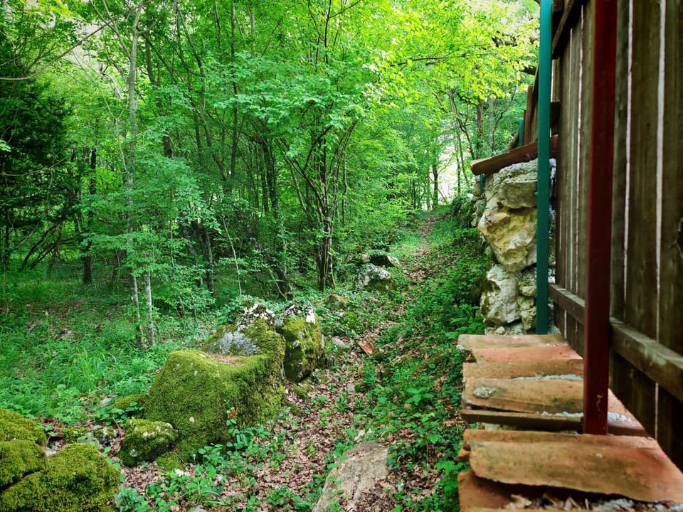 Spring, Natural landscape