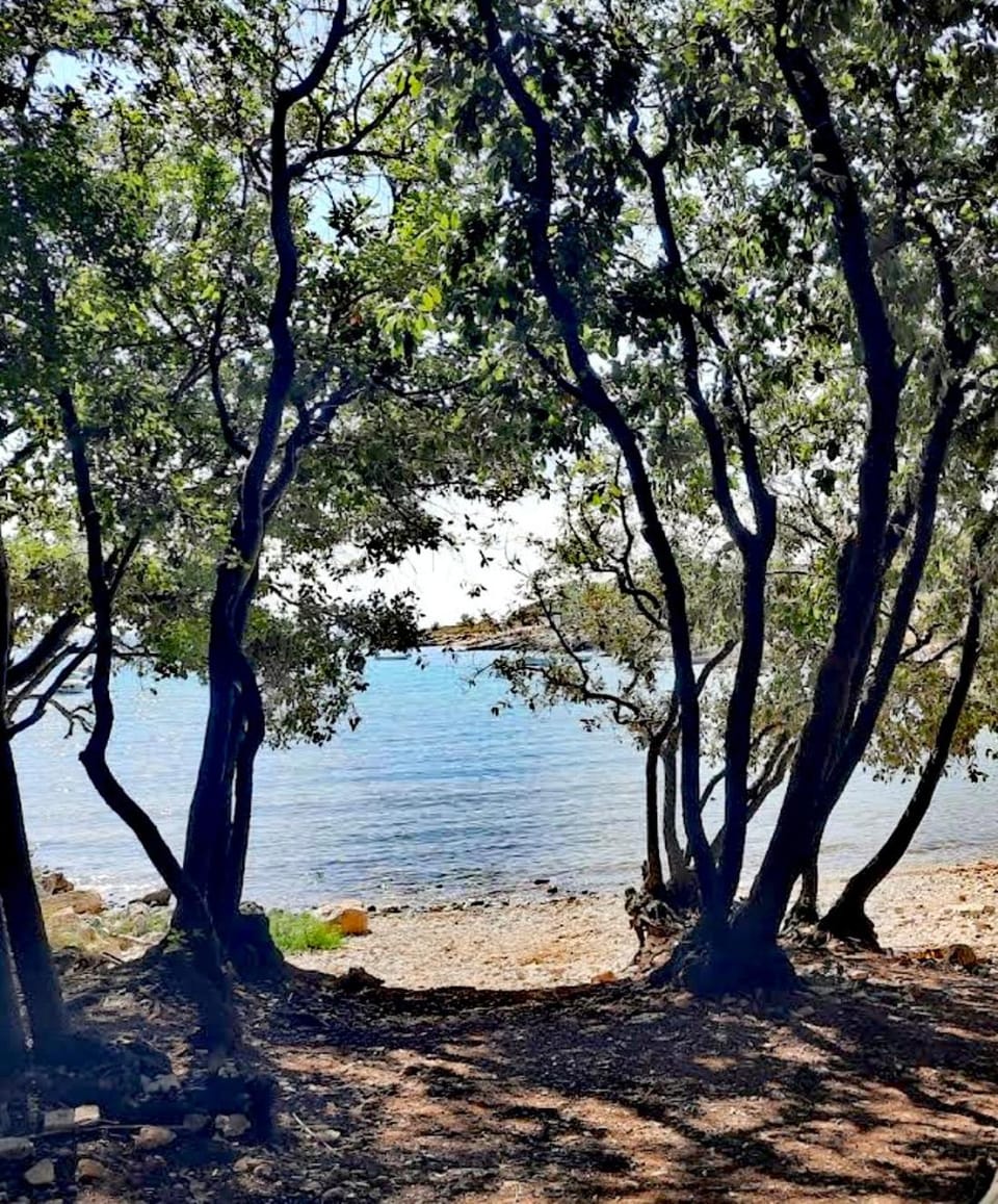 Natural landscape, Beach