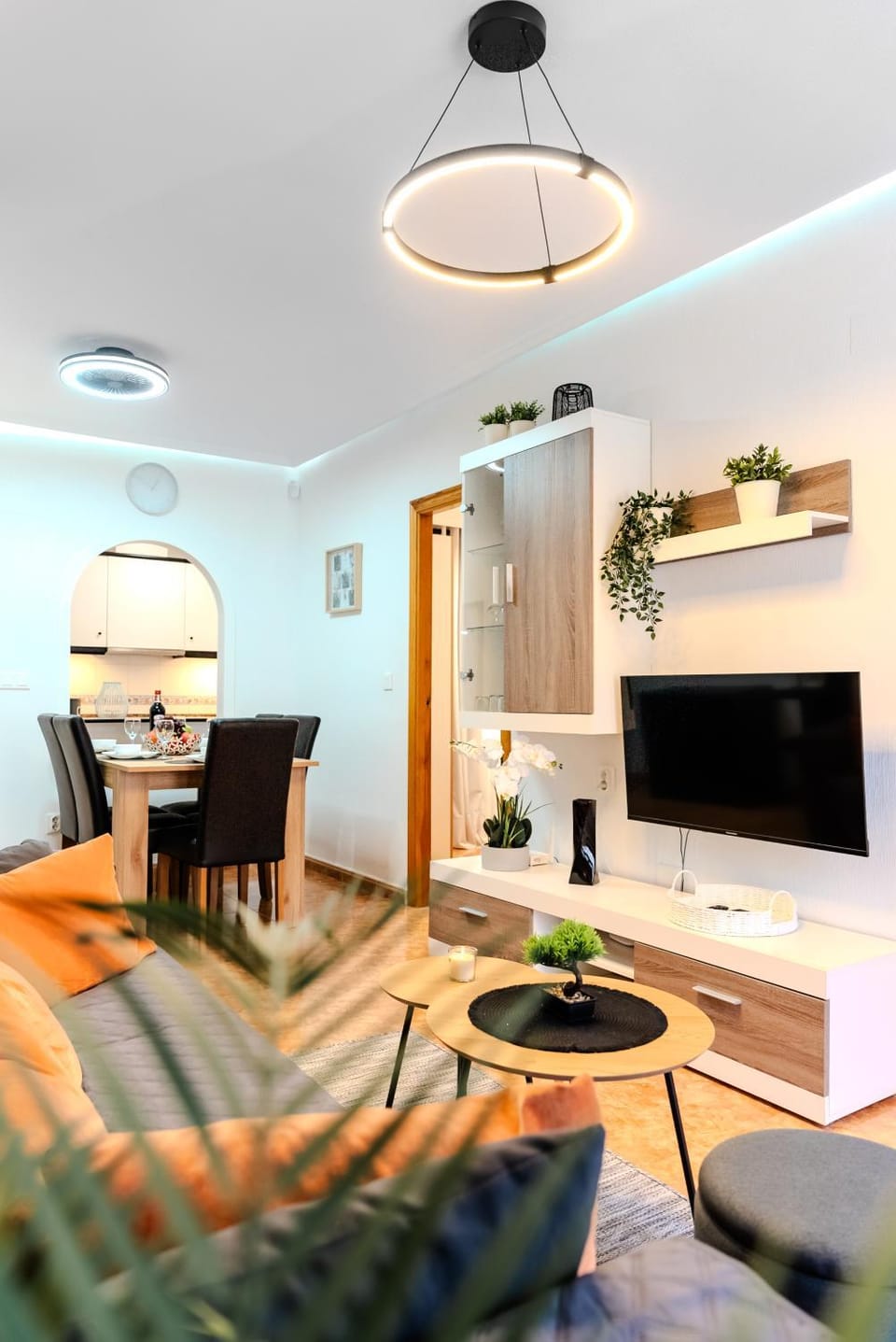 TV and multimedia