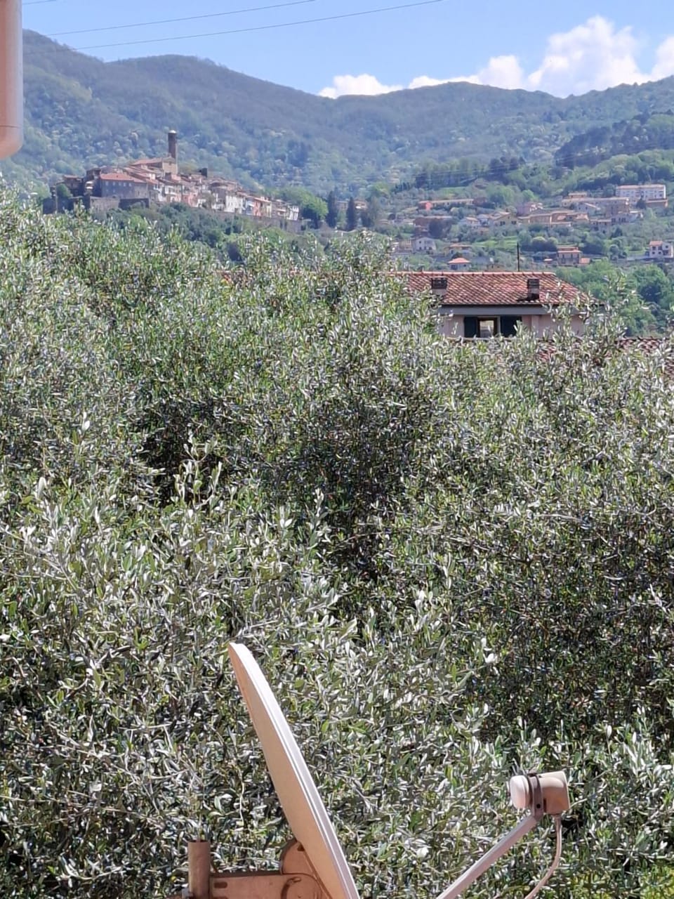 Natural landscape