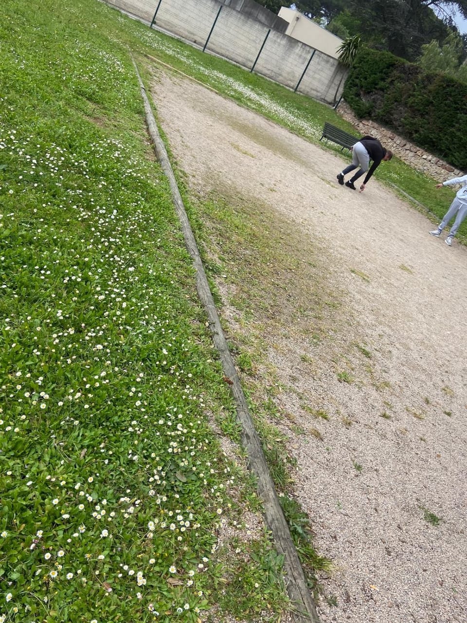 Spring, Day, Garden