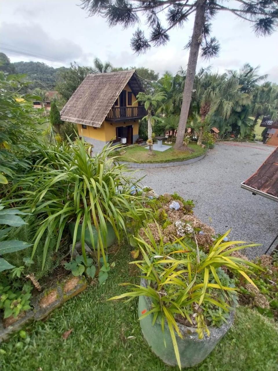 Garden view