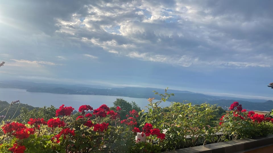 Lake view