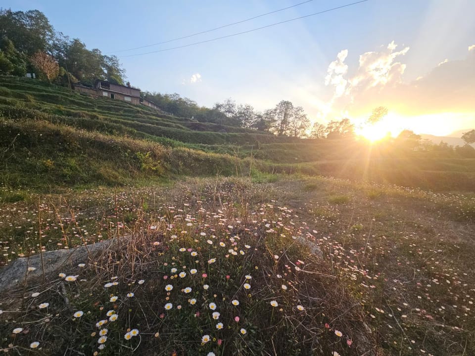 Chaukhamba Cradle Nature lodge in Uttarakhand