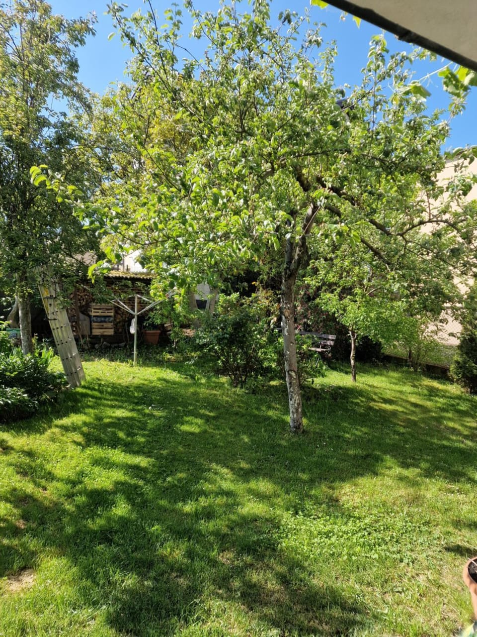 Pokoje Gościnne Nawigator Vacation rental in Wladyslawowo