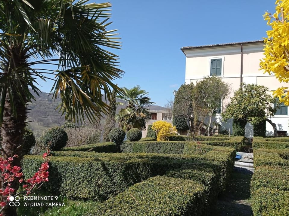 Property building, Garden, Garden view