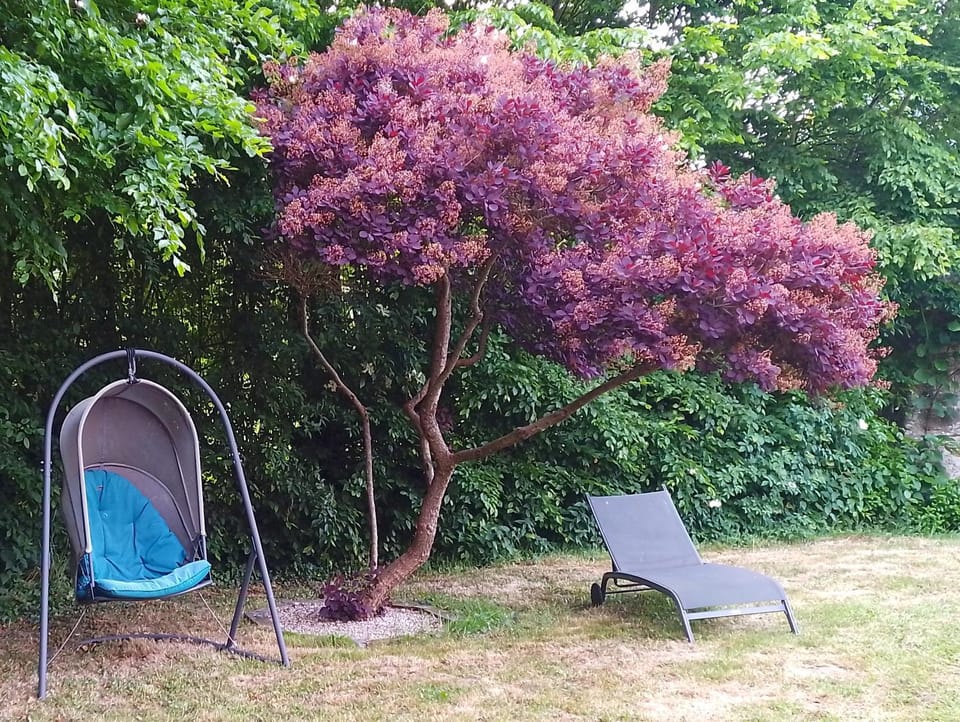 Spring, Garden, Seating area