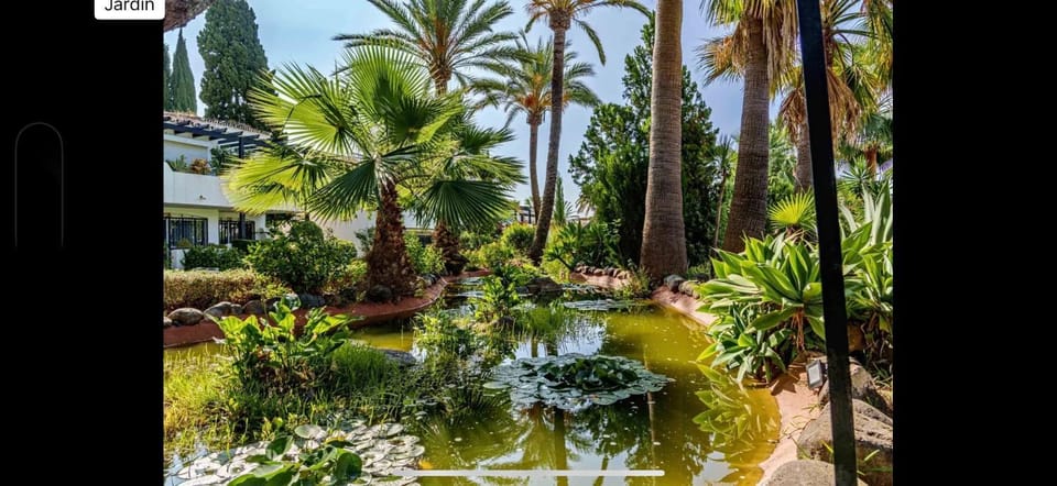 Garden, Garden view