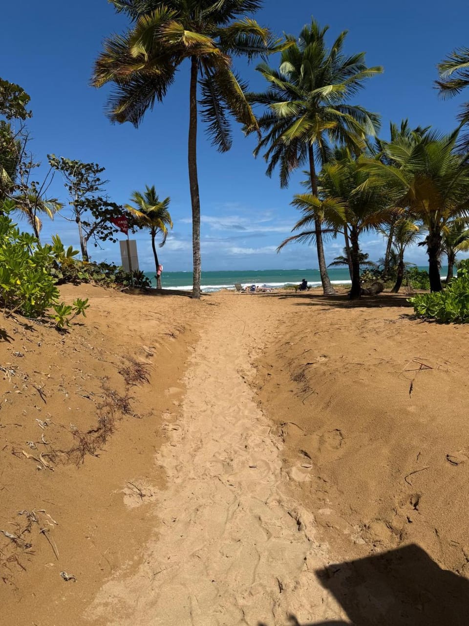 Natural landscape, Beach, Sea view