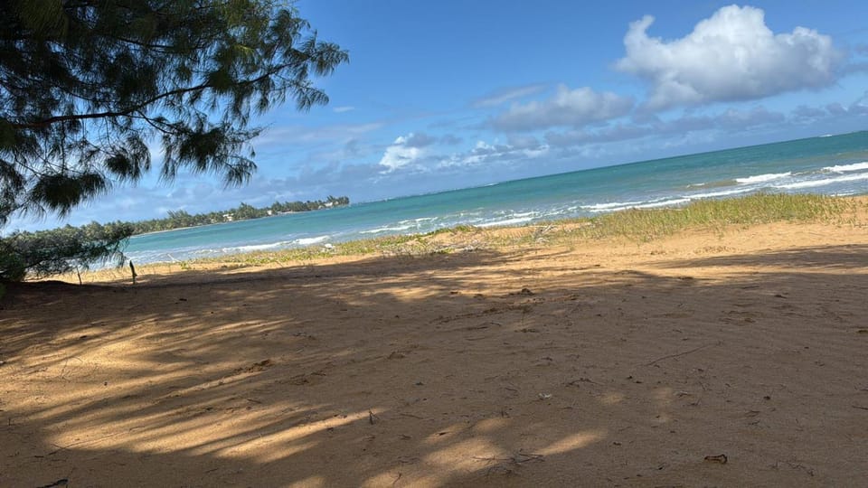 Beach, Sea view