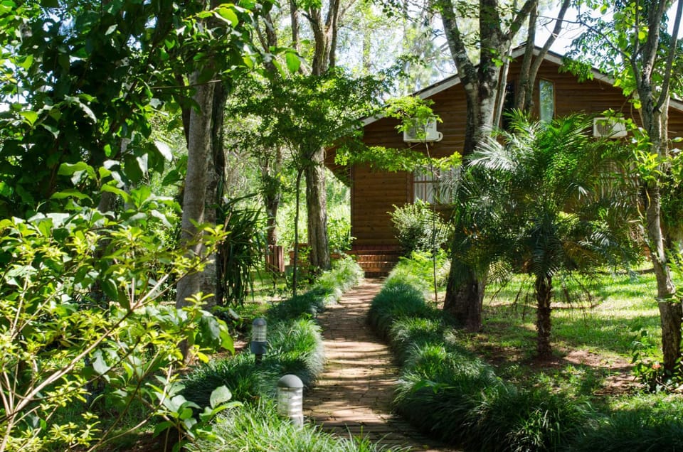 Natural landscape, Garden, Garden, Garden view
