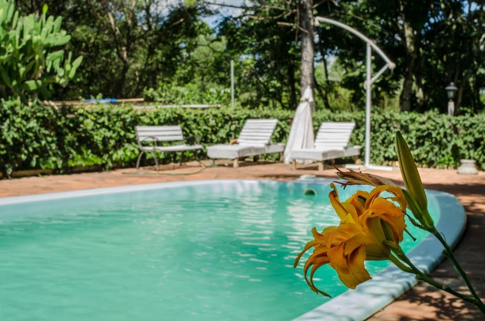 Garden, Pool view, Swimming pool, Swimming pool