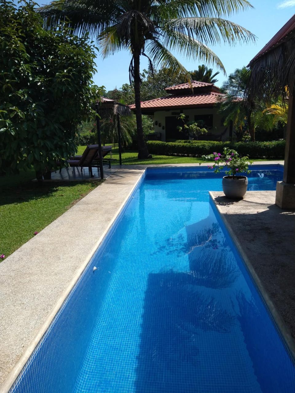 Casas Buenas Brisas House in Bahía Ballena