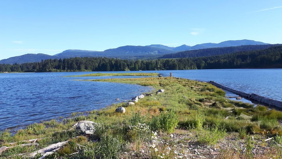 Natural landscape