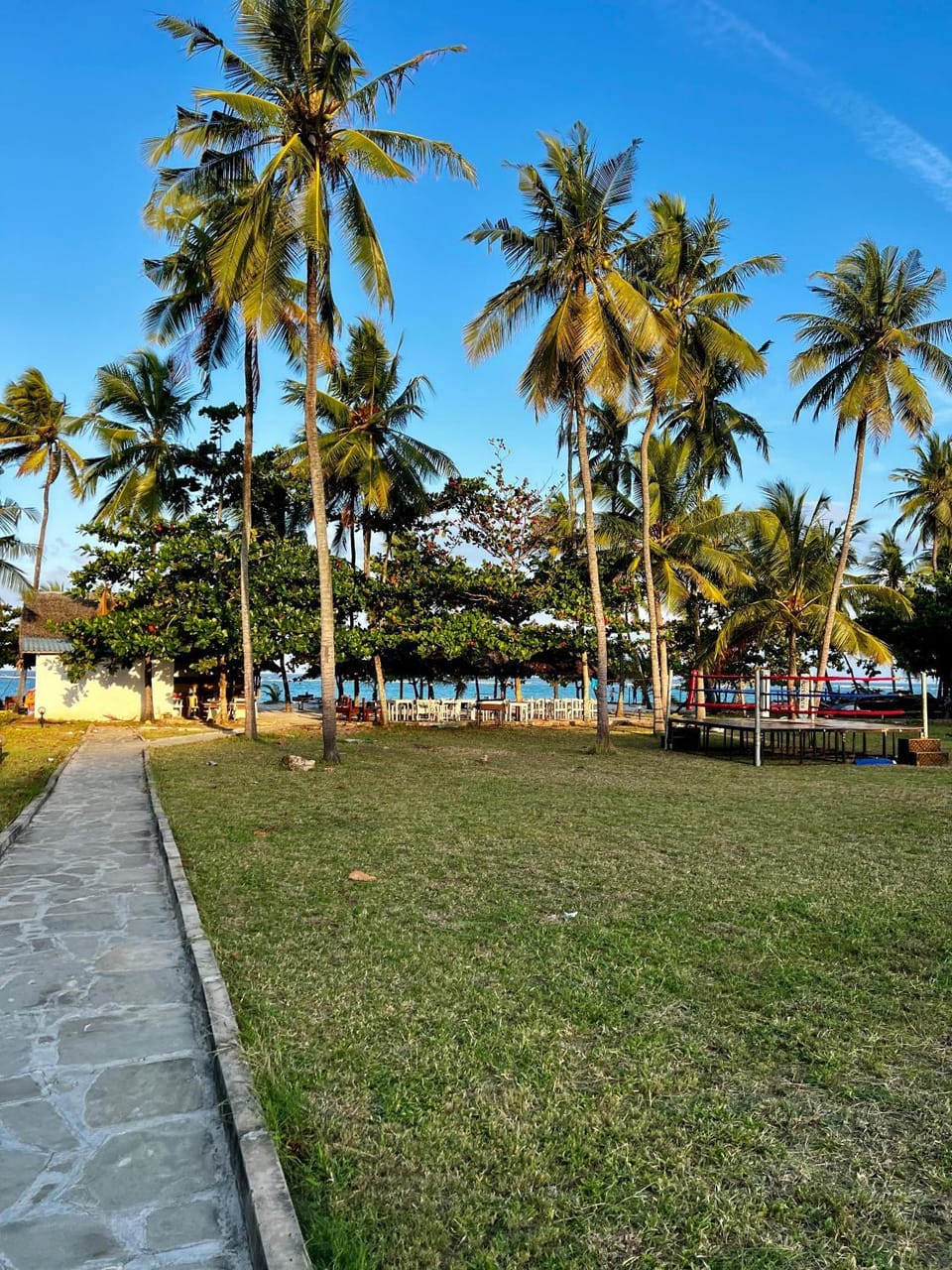Natural landscape, Garden view