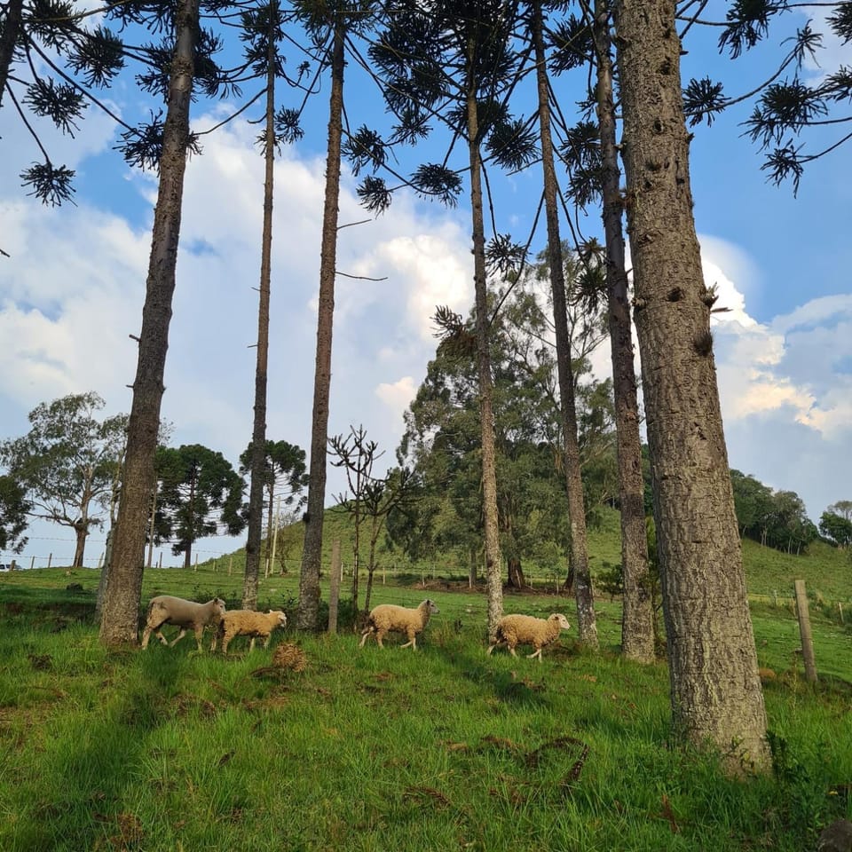 Pousada Recanto da Águia Country House in State of Santa Catarina