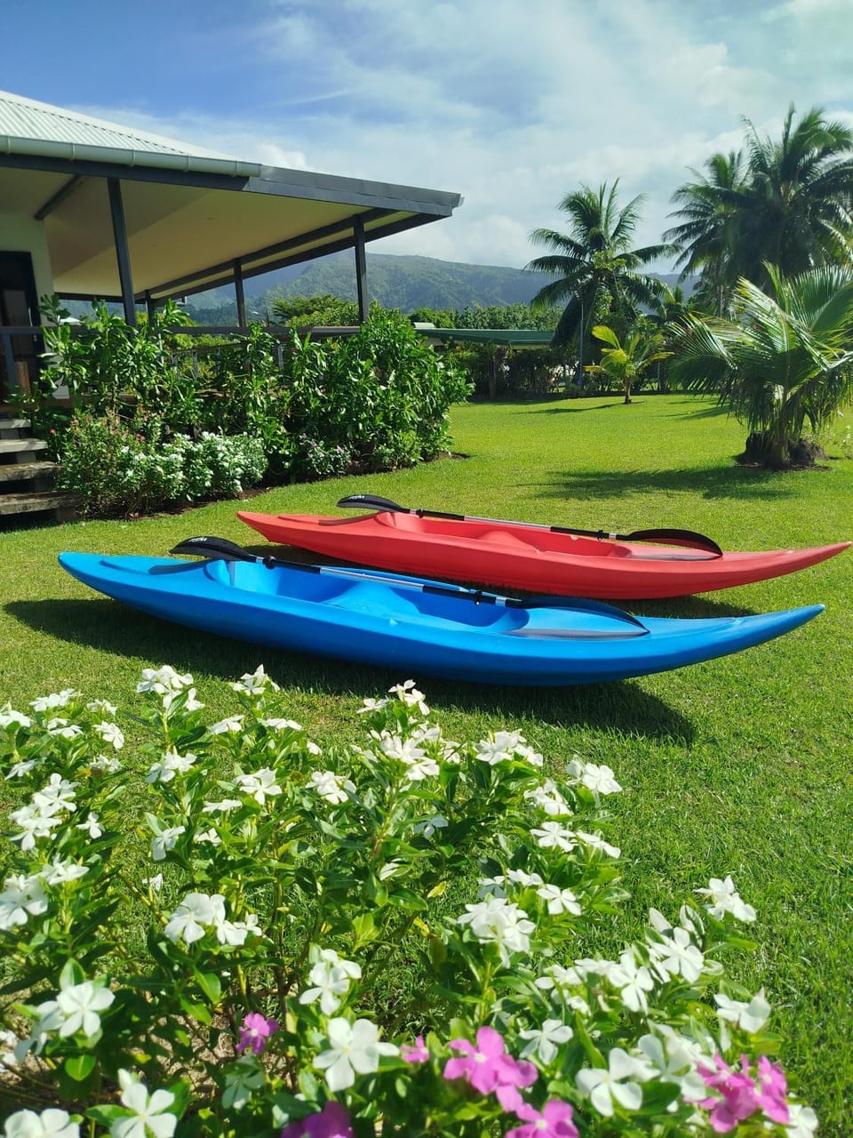 Activities, Garden view