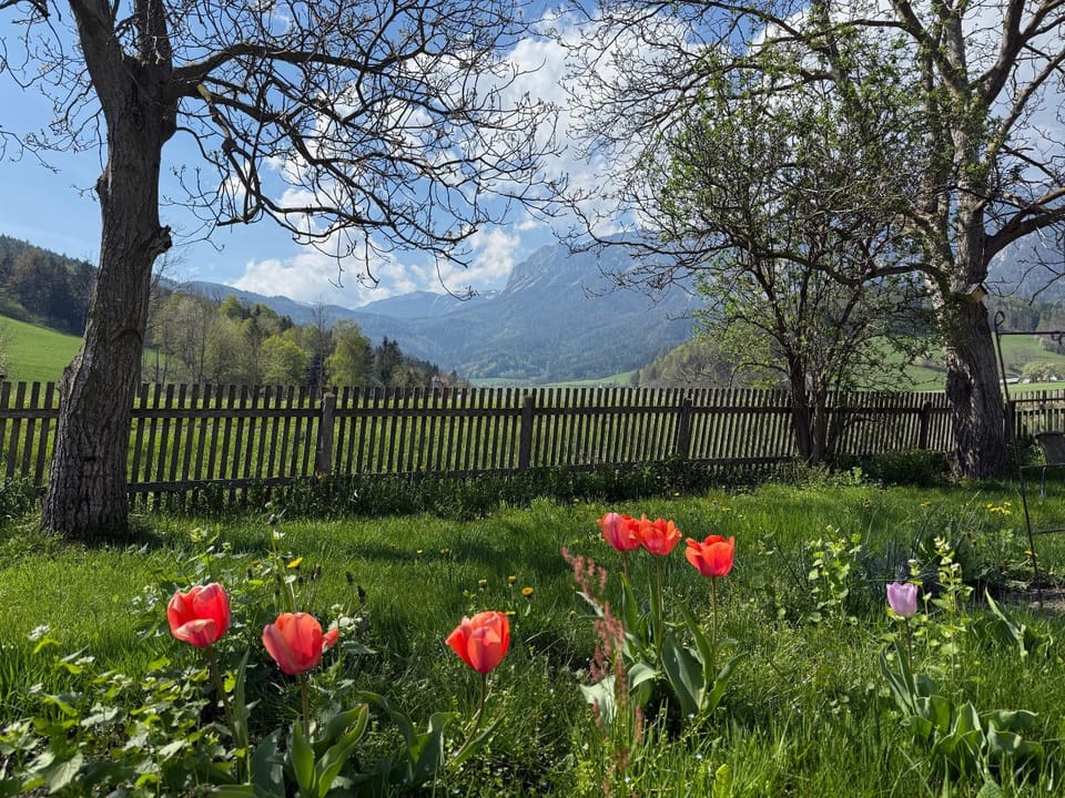 Spring, Garden, Garden view, Mountain view