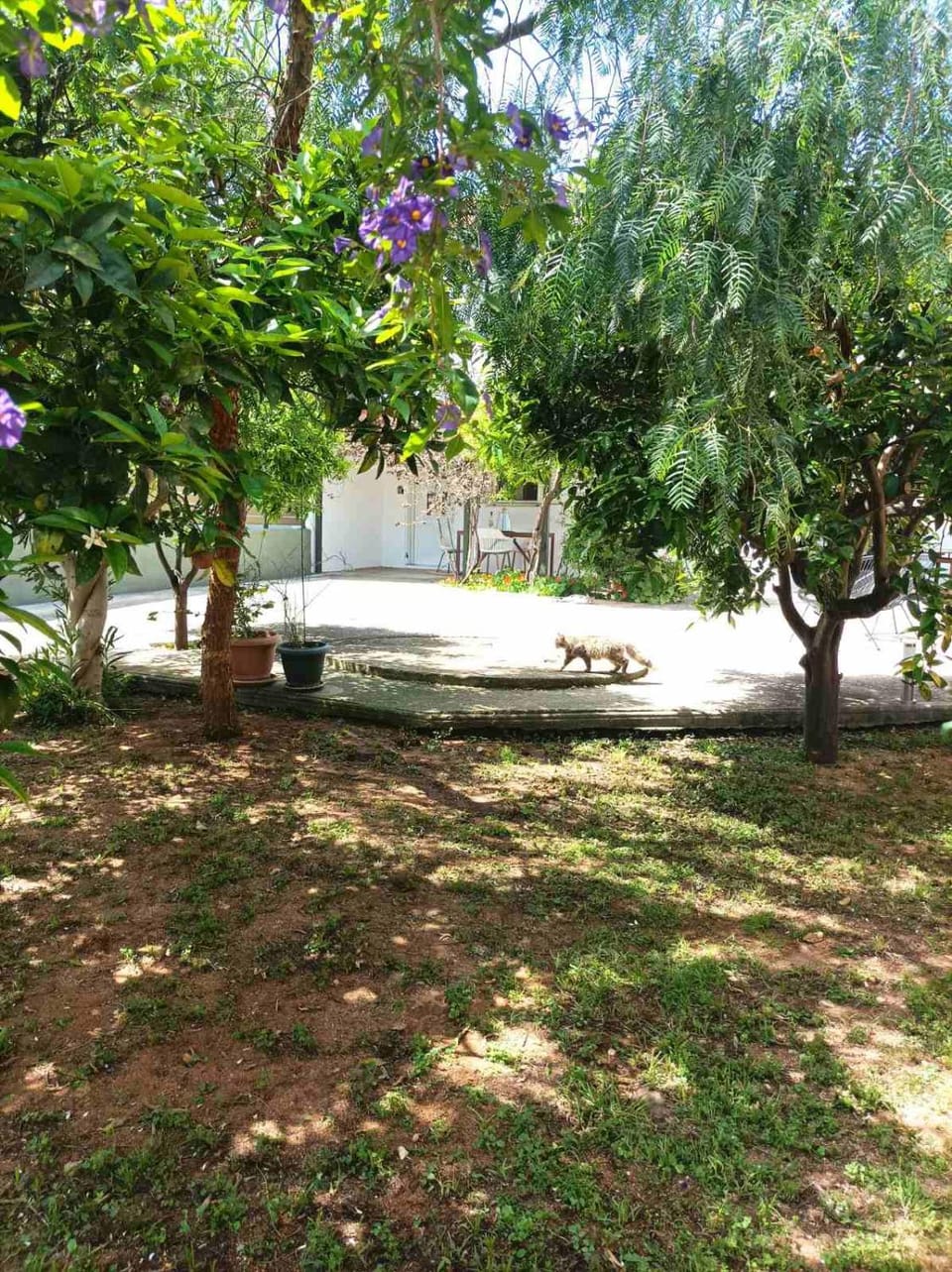 Petrochori Memories Maisonette House in Messenia