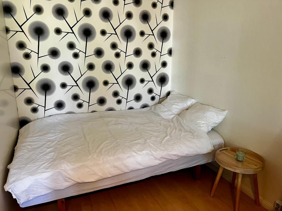 Siisti ja viihtyisä yksiö Apartment in Finland