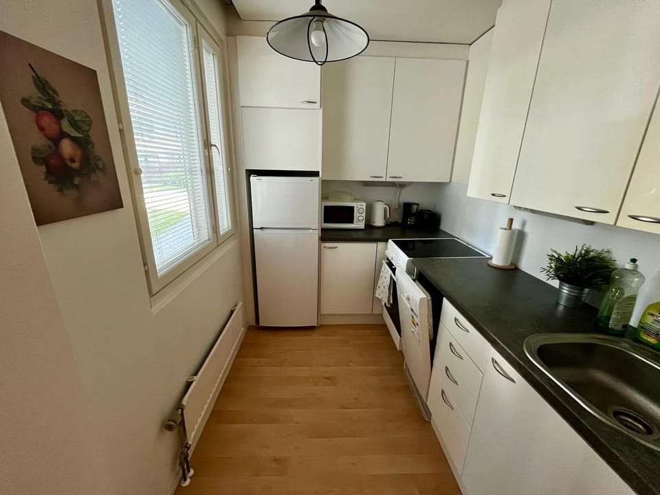 Siisti ja viihtyisä yksiö Apartment in Finland