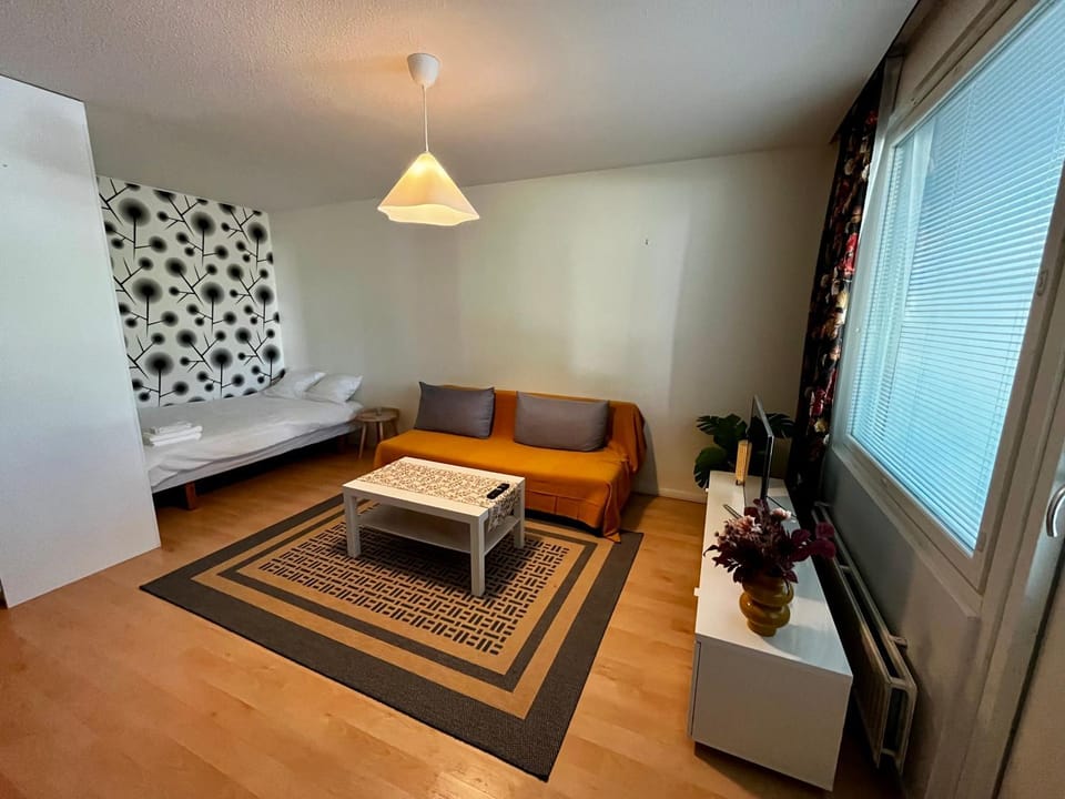 Siisti ja viihtyisä yksiö Apartment in Finland