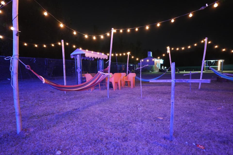 Night, Natural landscape, Animals