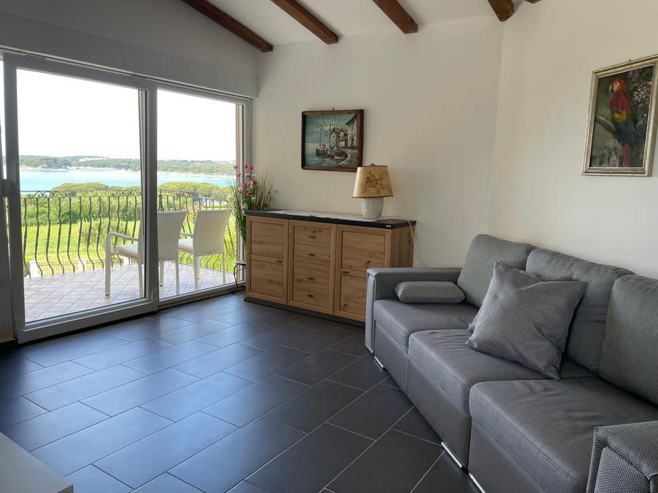 View (from property/room), Balcony/Terrace, Living room
