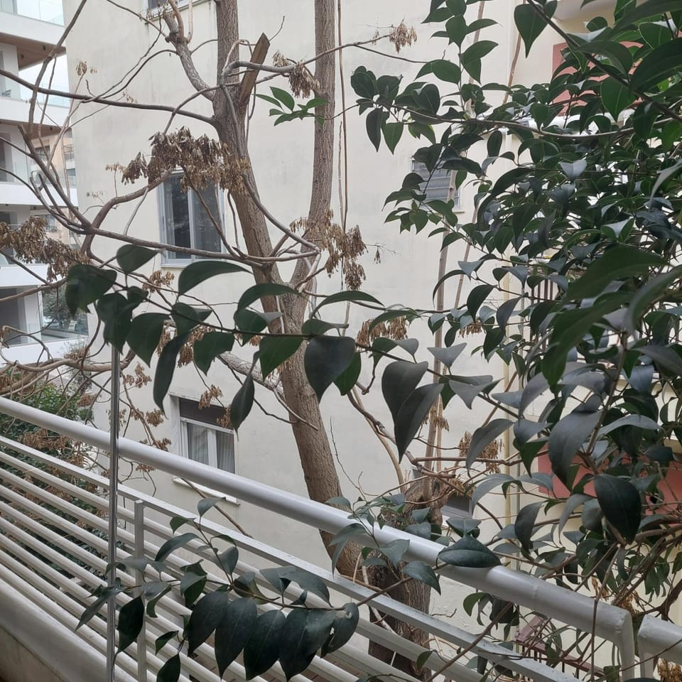 Small budget studio center1 Apartment in Thessaloniki