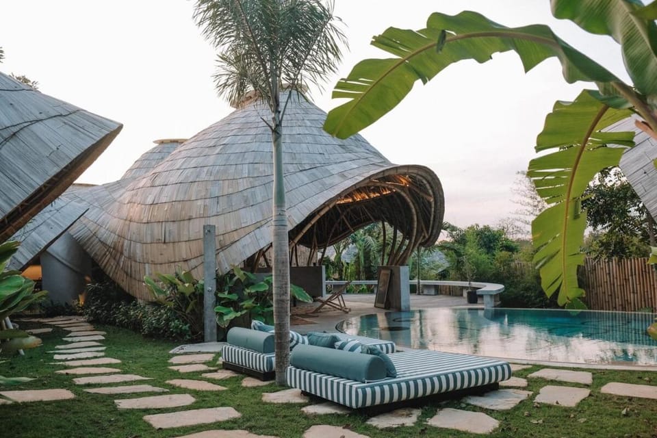 Garden, Swimming pool, sunbed