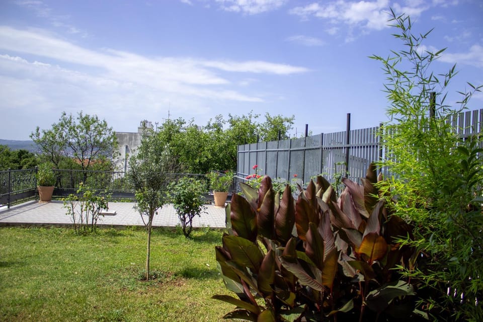 Day, Garden view